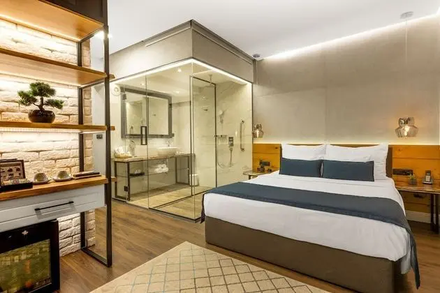 Deluxe Tek Büyük Yataklı Oda, 1 En Büyük (King) Boy Yatak, Şehir Manzaralı