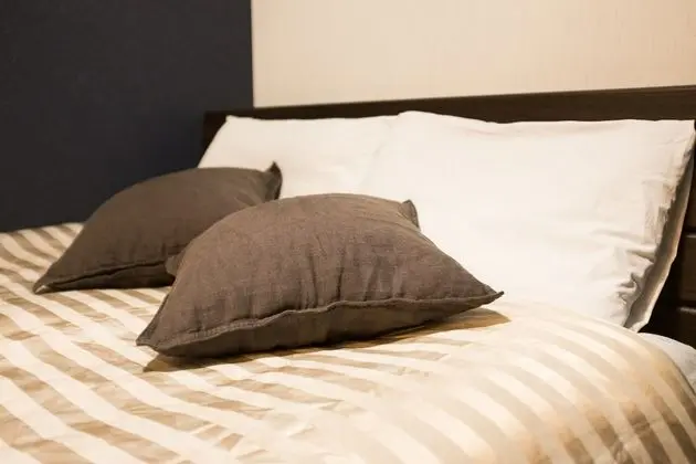 Standard Apart Daire, 1 Çift Kişilik Yatak, Sigara İçilmez