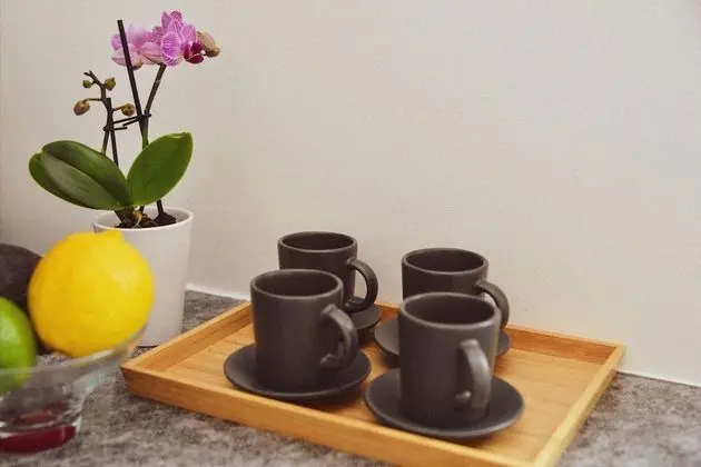 Apart Daire, 2 Yatak Odası, Engellilere Uygun, Balkon
