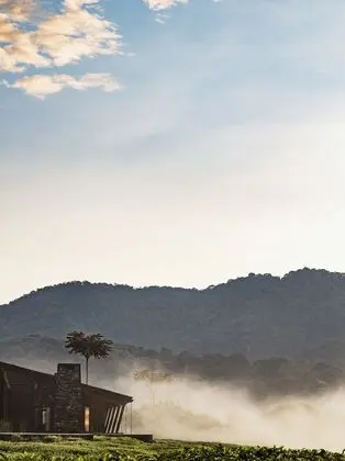 Oda, 2 Tek Kişilik Yatak (Nyungwe)