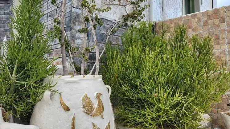 Oda, 1 Yatak Odası, Balkon