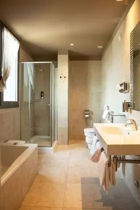 Standard Tek Büyük Yataklı Oda, 1 Çift Kişilik Yatak