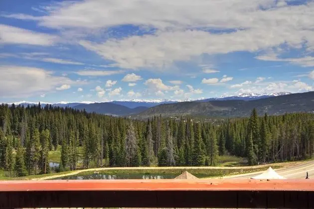 Daire, 1 Yatak Odası