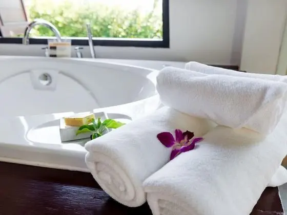 Deluxe İki Ayrı Yataklı Oda, Sigara İçilmez