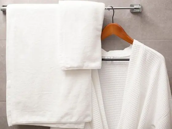 Deluxe İki Ayrı Yataklı Oda, Sigara İçilmez