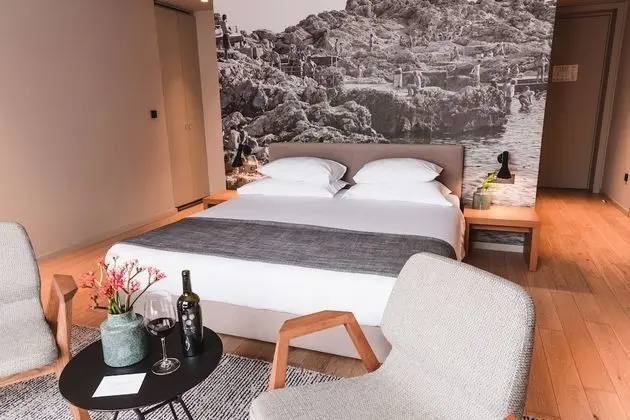 Premium Tek Büyük Yataklı Oda, Balkon, Bahçe Manzaralı