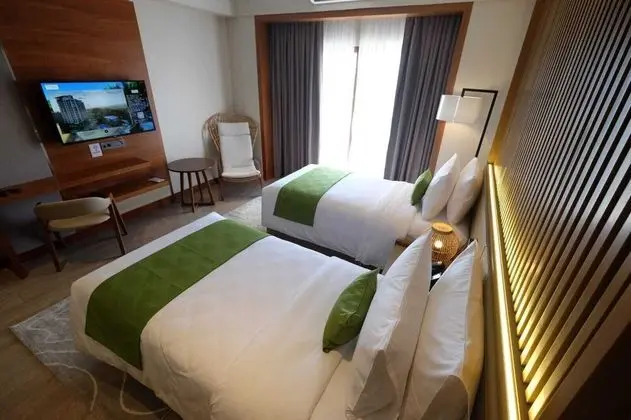 Deluxe İki Ayrı Yataklı Oda, 2 Tek Kişilik Yatak, Sigara İçilmez, Dağ Manzaralı
