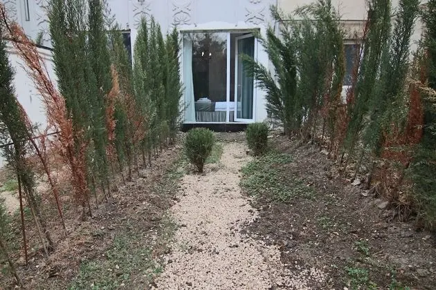 Double or Twin with private yard