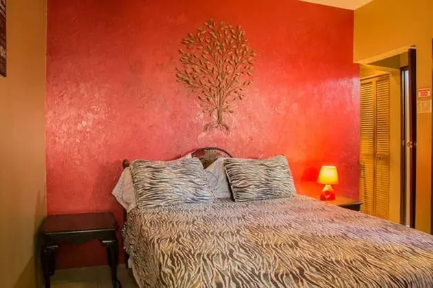 Comfort Stüdyo (Red Velvet)