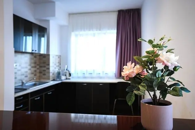 Junior Apart Daire (Ap. 42)