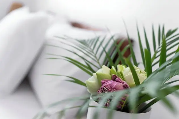 Deluxe İki Ayrı Yataklı Oda, Birden Çok Yatak