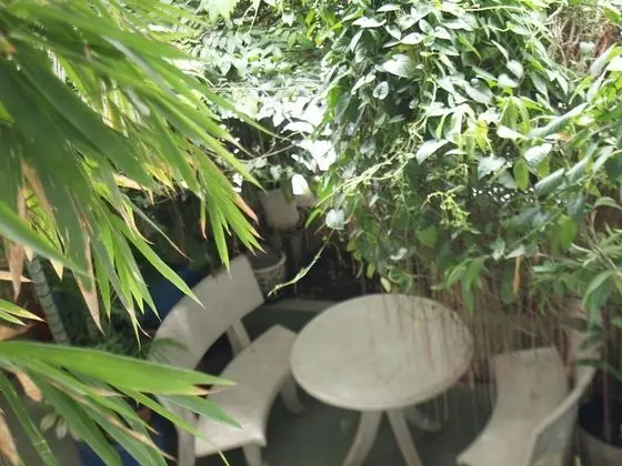 Basic Ortak Ranzalı Oda, Sadece kadınlar için, Veranda, Şehir Manzaralı
