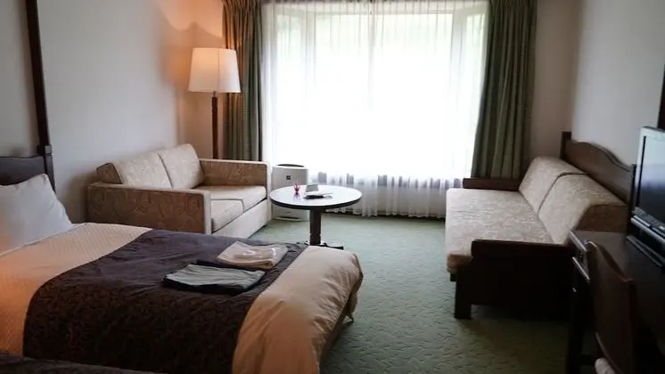 Deluxe İki Ayrı Yataklı Oda, Sigara İçilmez