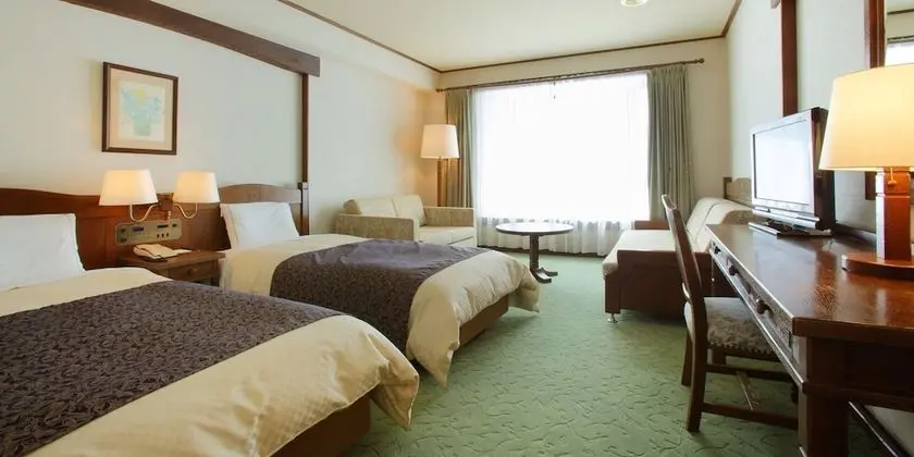 Deluxe İki Ayrı Yataklı Oda, Sigara İçilmez