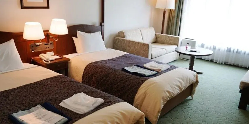 Deluxe İki Ayrı Yataklı Oda, Sigara İçilmez