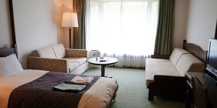 Deluxe İki Ayrı Yataklı Oda, Sigara İçilmez