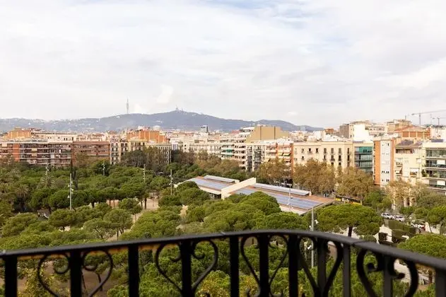 Tek Büyük Yataklı Oda, Park Manzaralı
