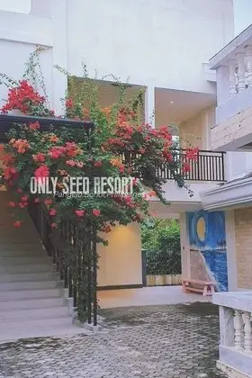 Deluxe İki Ayrı Yataklı Oda, Sigara İçilmez, Havuz Manzaralı