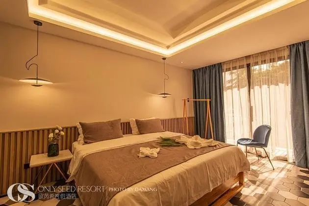 Deluxe Tek Büyük Yataklı Oda, 1 En Büyük (King) Boy Yatak, Sigara İçilmez, Havuz Manzaralı