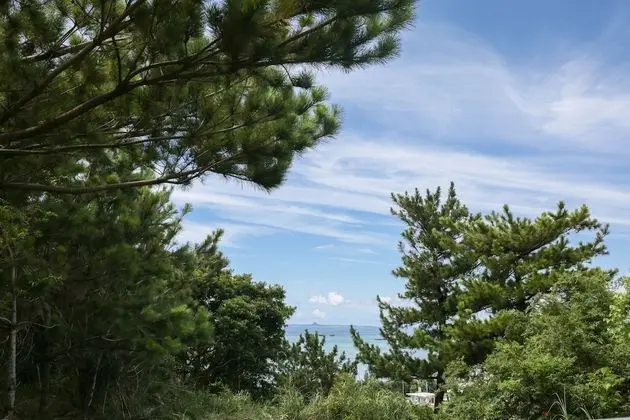 Ev (Private Vacation Home)