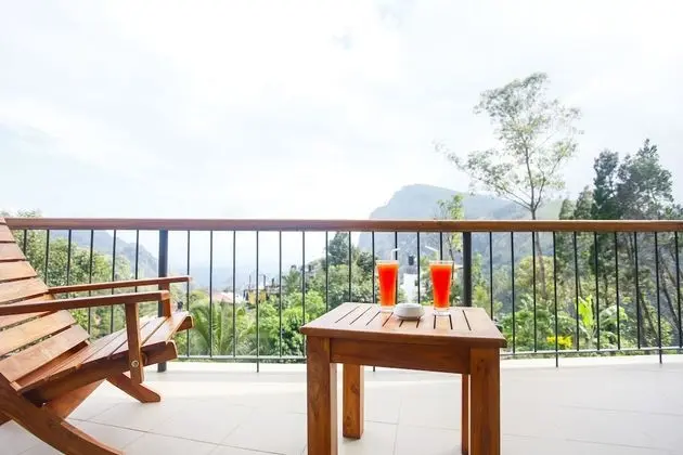 Luxury Tek Büyük Yataklı Oda, 1 En Büyük (King) Boy Yatak, Balkon, Dağ Manzaralı