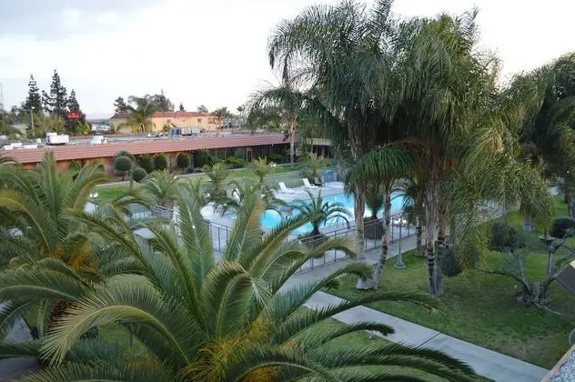 Executive Oda, 1 En Büyük (King) Boy Yatak, Balkon, Havuz Manzaralı
