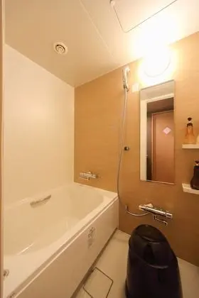 Superior Tek Büyük Yataklı Oda, Sigara İçilmez (Queen Room)