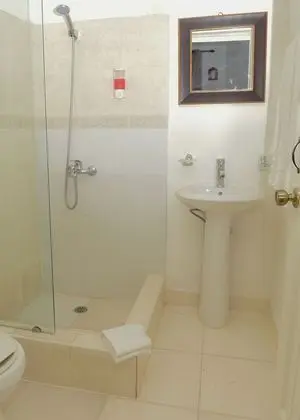 Deluxe Tek Kişilik Oda, 1 Büyük (Queen) Boy Yatak