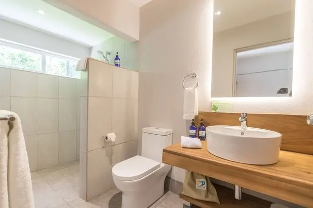 Deluxe Oda, 1 Büyük (Queen) Boy Yatak