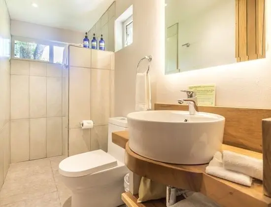 Deluxe Tek Büyük Yataklı Oda, 2 Büyük (Queen) Boy Yatak