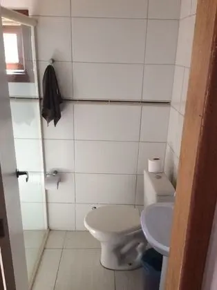 Pinguim