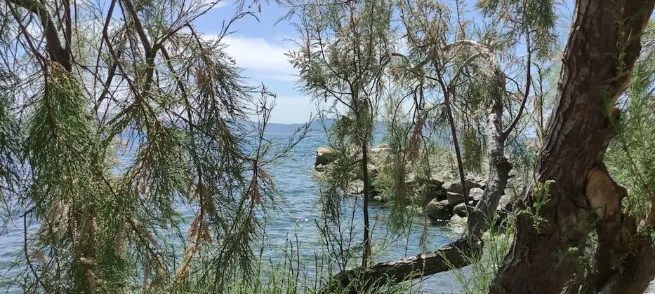 Villa, Birden Çok Yatak
