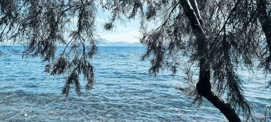 Villa, Birden Çok Yatak
