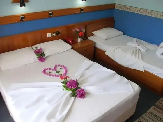 Bahçe manzaralı Standart altı kişilik aile oda