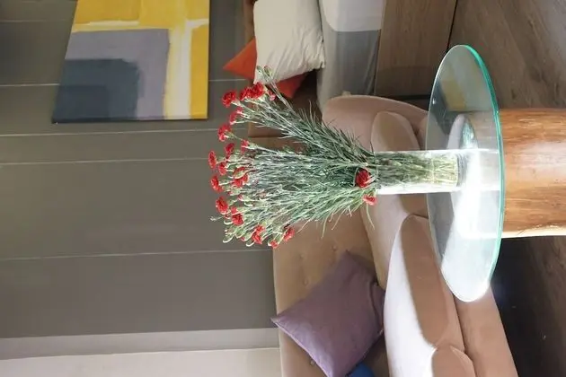 Deluxe Stüdyo