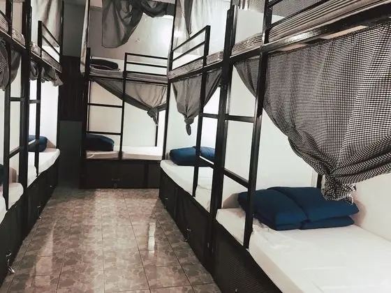 Mixed Shared Dormitory