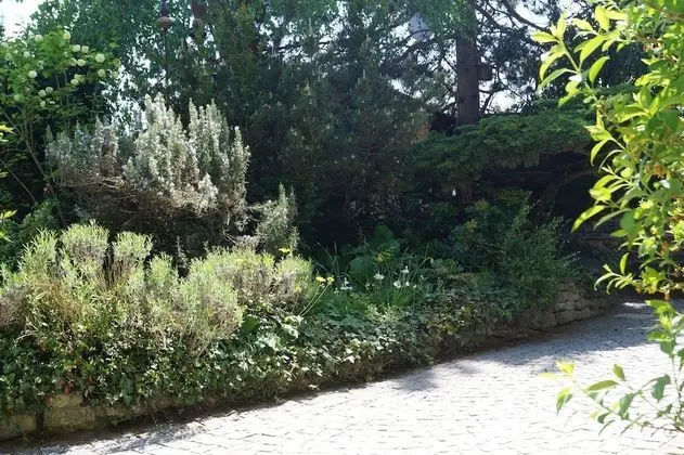 Signature Apart Daire, Sauna (Private Sauna (Fee))