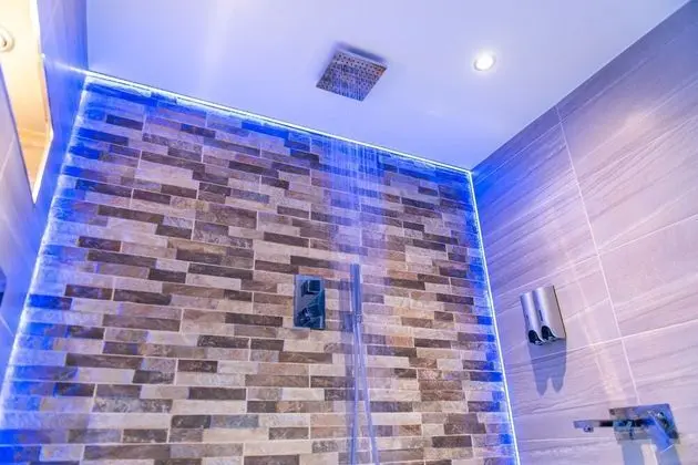 Executive Apart Daire, Engellilere Uygun, Özel Banyo (Jacuzzi - Apartment 1)