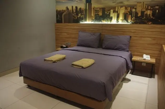 Deluxe Tek Büyük Yataklı Oda