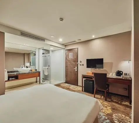 Deluxe Tek Büyük Yataklı Oda