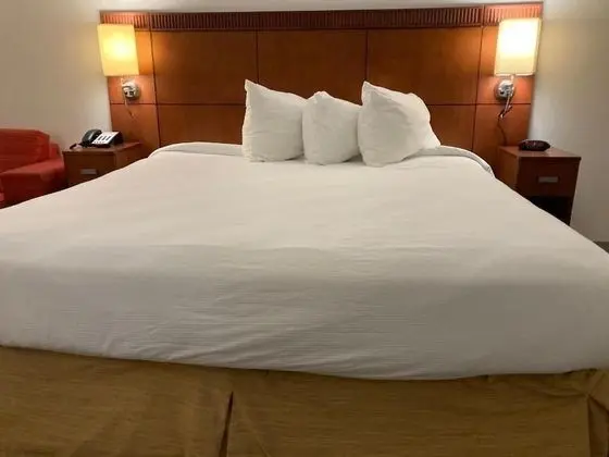 Standard Tek Kişilik Oda