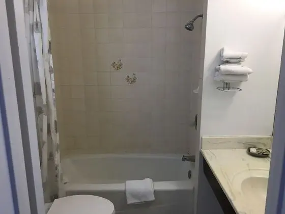 Standard Oda, 1 En Büyük (King) Boy Yatak, Sigara İçilmez