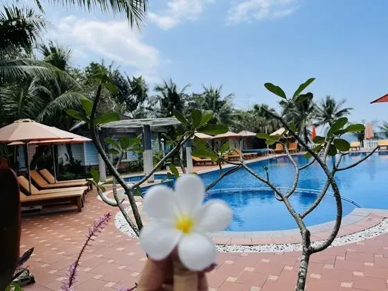 Deluxe Bungalov, Havuz Manzaralı