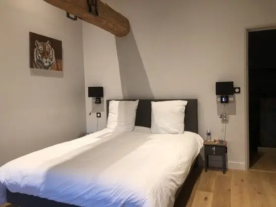 Deluxe Oda, 1 Büyük (Queen) Boy Yatak, Park Manzaralı