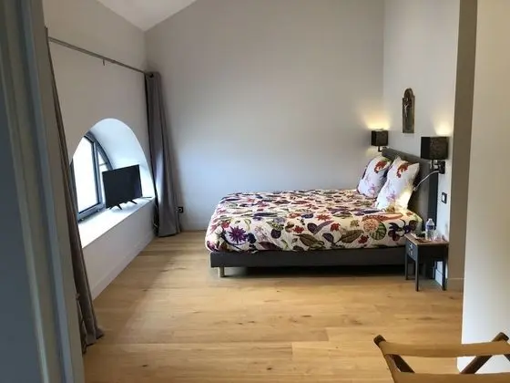 Deluxe Oda, 1 Büyük (Queen) Boy Yatak, Park Manzaralı