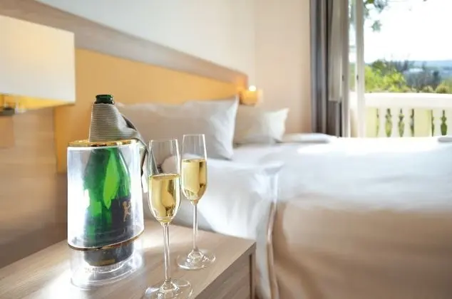 Comfort Tek Büyük Yataklı Oda (disability access)