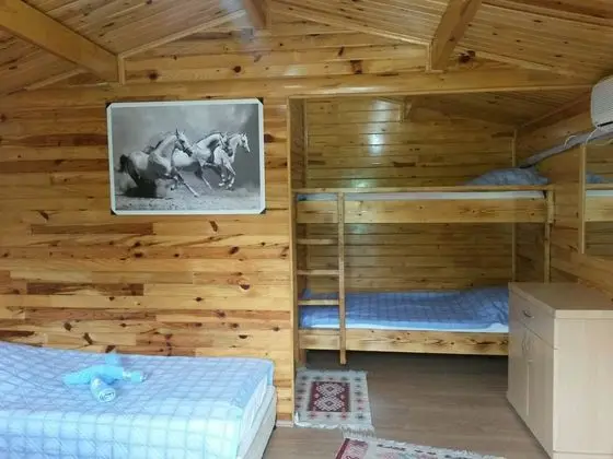 Bungalov Standard