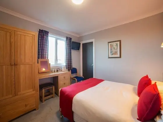 Standard Tek Büyük Yataklı Oda, 1 Çift Kişilik Yatak