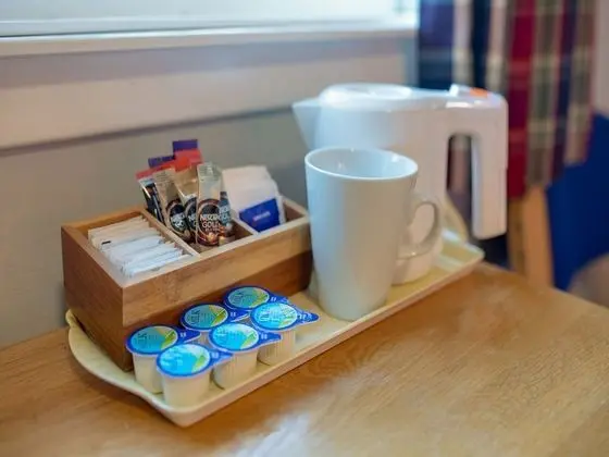 Standard Tek Büyük Yataklı Oda, 1 Çift Kişilik Yatak