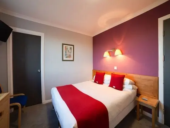 Standard Tek Büyük Yataklı Oda, 1 Çift Kişilik Yatak